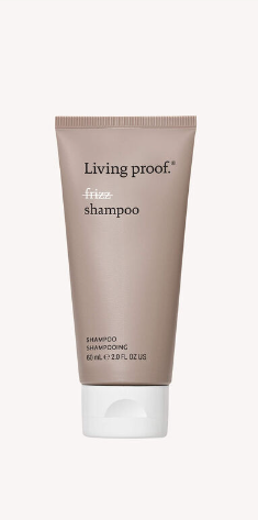No Frizz Shampoo
